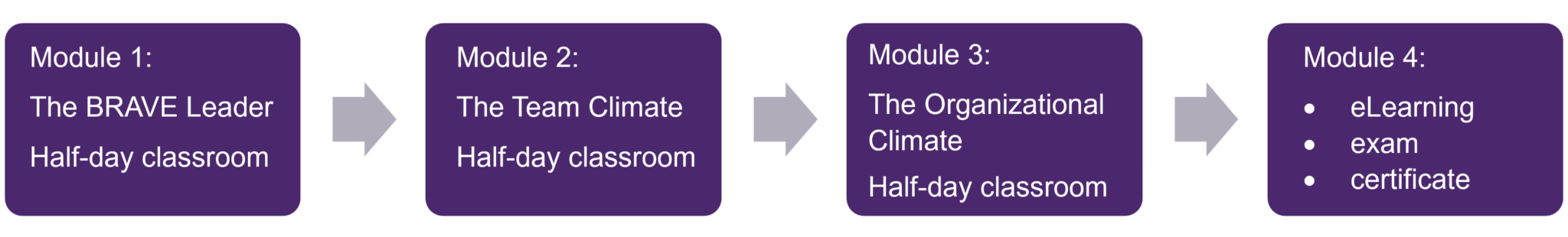 Brave Leadership: Advanced Certificate Program - Telus Health Learning